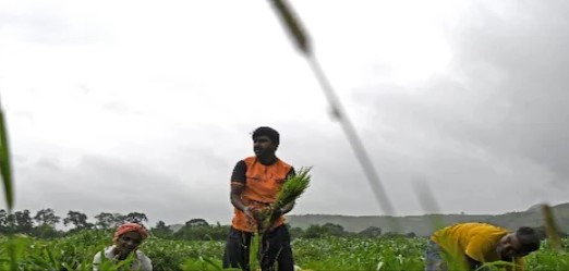 आपके गांव में कब होगी बार‍िश, पलभर में चल जाएगा पता, क‍िसानों के ल‍िए बड़ी सौगात