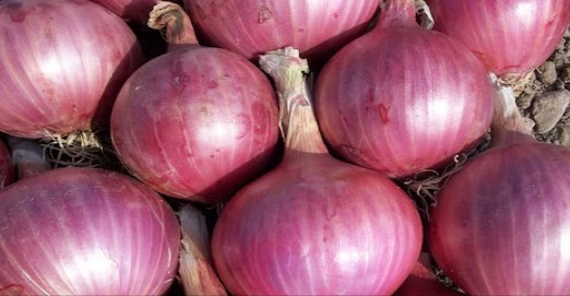प्‍याज की कीमत में लगी ‘आग’, 5 साल के उच्‍चतम स्‍तर पर पहुंचा रेट, जल्‍द राहत की न करें उम्‍मीद