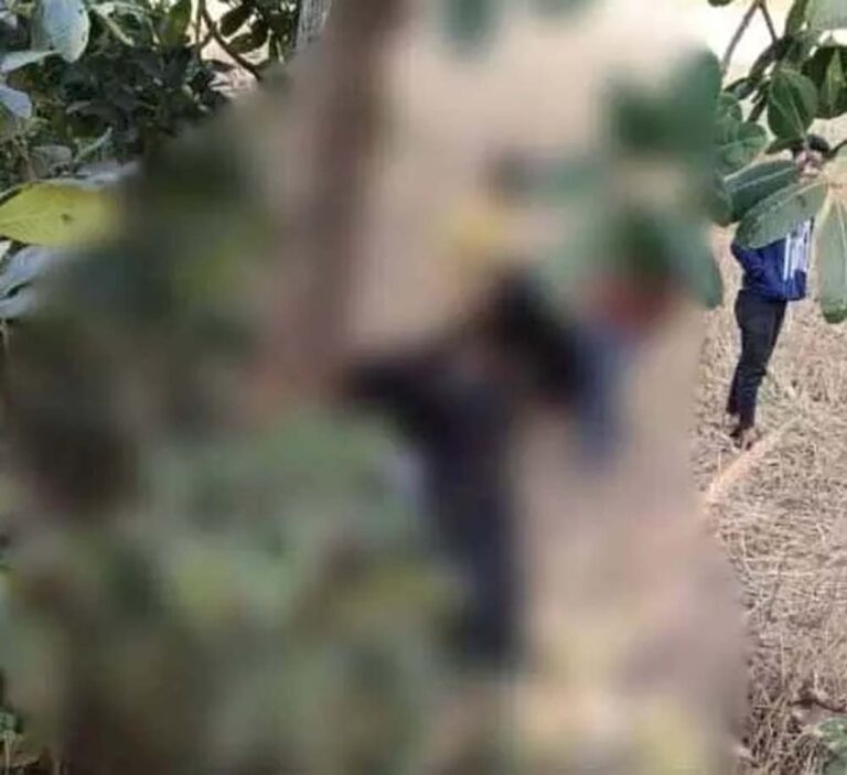 पेड़ पर लटकी मिली प्रेमी जोड़े की लाश, मृतकों की पहचान करने में जुटी पुलिस