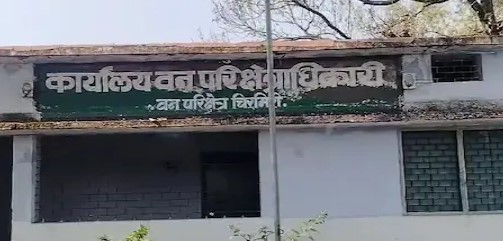 जंगल में 4 टाइगर का मूवमेंट, छत्तीसगढ़ के इस शहर में फैली दहशत, अलर्ट मोड पर वन विभाग की टीम