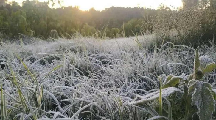 छत्तीसगढ़ में कड़ाके की ठंड, पत्तों पर जमी बर्फ की चादर, रात का पारा 3 डिग्री से नीचे गिरा, 12 जिलों में शीतलहर का यलो अलर्ट…
