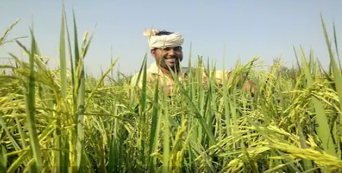 किसान सम्मान निधि, फसल बीमा योजना या सस्ता लोन, एक कार्ड से होंगे पूरे सारे काम