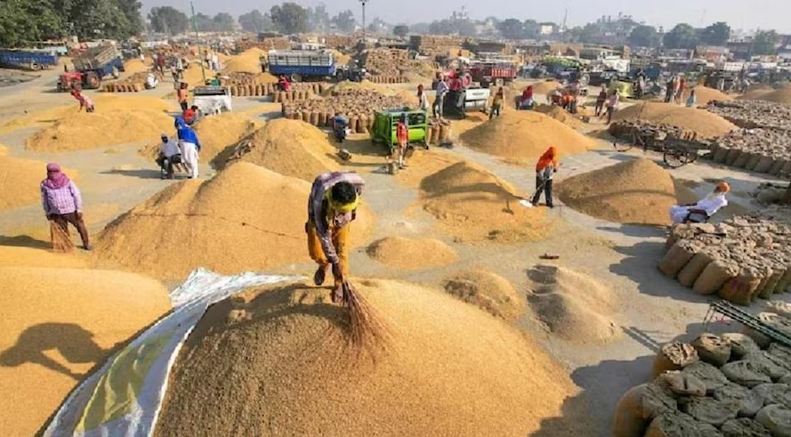 समर्थन मूल्य पर धान उपार्जन की व्यवस्था पर रखी जा रही है कड़ी निगरानी