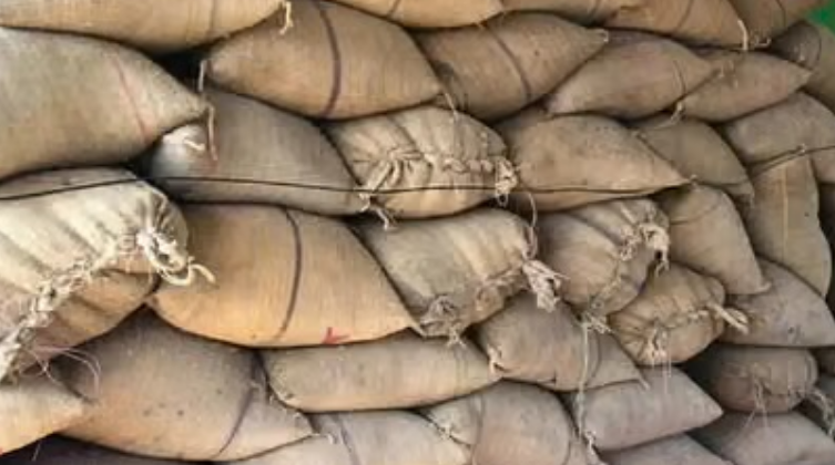 62 कट्टा धान जब्त  बिना दस्तावेज धान परिवहन पर कार्रवाई