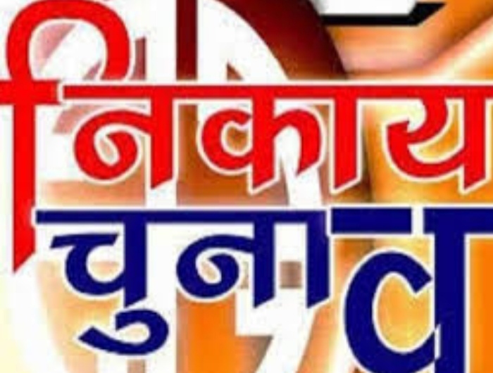 नगर पंचायत अध्यक्ष बने अनिल मानिकपुरी....,जानिए पार्षदों का हाल