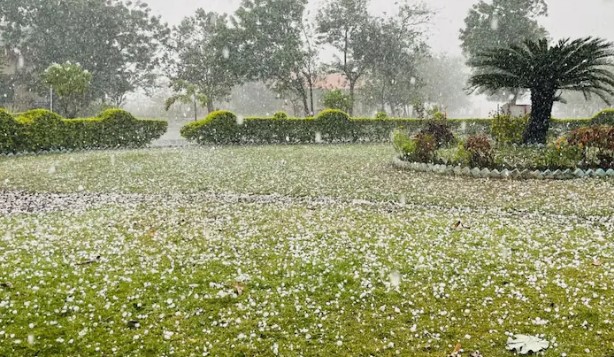 MP-छत्तीसगढ़ में आंधी-तूफान से तबाही! कई जगह गिरे पेड़, गुना में कश्मीर जैसा नजारा... सड़क से खेत तक बिछ गई सफेद चादर