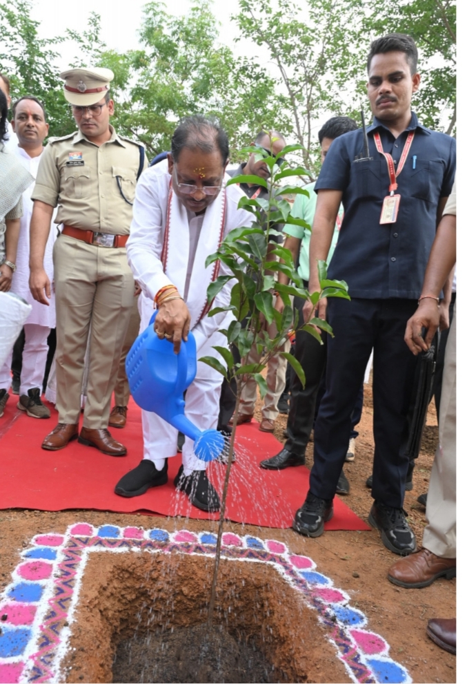 मुख्यमंत्री ने बालोद में लगाया आम का पौधा