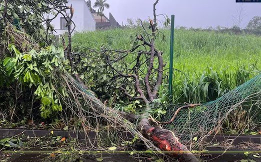 250KM की रफ्तार से तबाही लेकर आया तूफान, खतरे में 2 लाख लोगों की जिंदगी