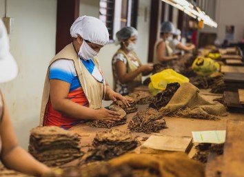 महिलाओं को हर महीने एक दिन की छुट्टी, देश की दिग्गज प्राइवेट कंपनी ने दी यह सुविधा