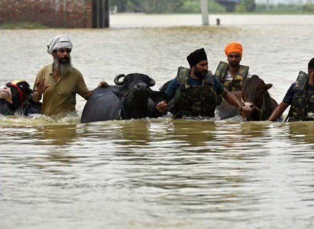 कश्मीर से पंजाब तक बाढ़ से हाहाकार, राहुल गांधी ने पीएम मोदी से की मदद की मांग
