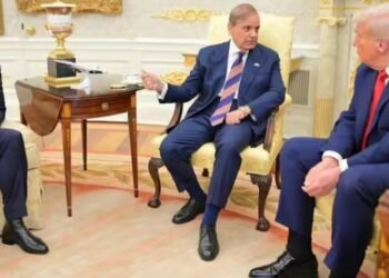 गाजा प्लान पर पाकिस्तान का यू-टर्न! ट्रंप ने किया था 100% सपोर्ट का दावा; क्या धोखा देंगे शहबाज-मुनीर