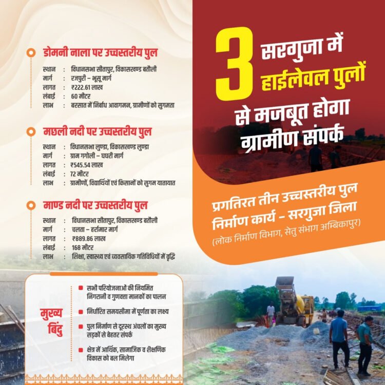 सेतु संभाग अम्बिकापुर द्वारा तीन उच्चस्तरीय पुलों का निर्माण कार्य जारी