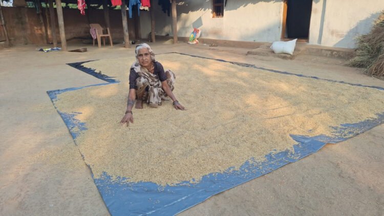 मेहनत की फसल पर उम्मीद का मिल रहा है पूरा दाम