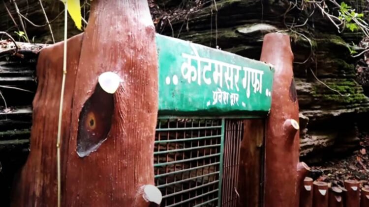 विश्व प्रसिद्ध कुटुमसर गुफा के खुले द्वार, पहले दिन ही उमड़ी पर्यटकों की भीड़