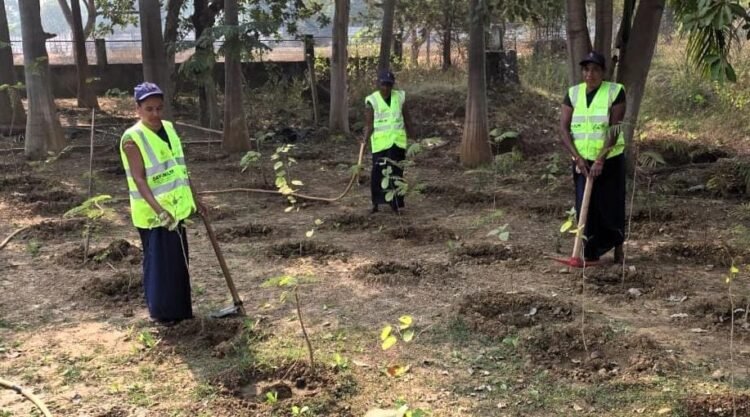 वुमेन फॉर ट्री योजना : अमृत मिशन के अंतर्गत महिलाओं की भागीदारी से हरियाली और आत्मनिर्भरता की ओर बड़ा कदम