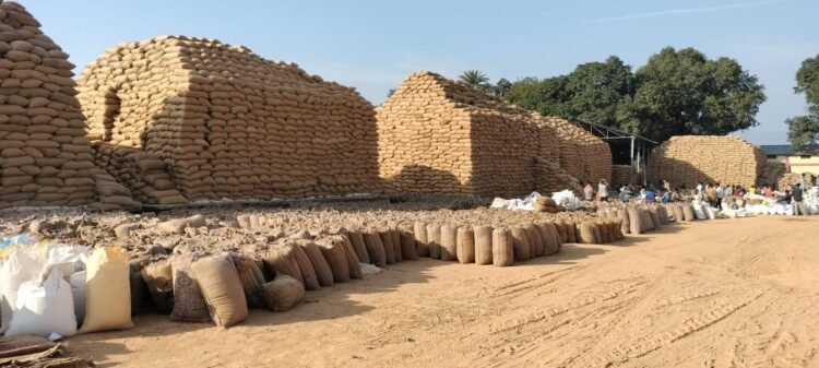 धान खरीदी का महाअभियान