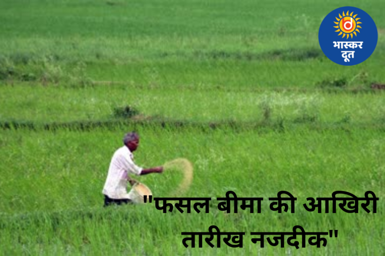 रबी फसलों के लिए फसल बीमा शुरू, किसान 31 दिसंबर 2025 तक करवा सकेंगे बीमा