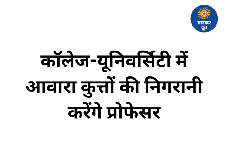 छत्तीसगढ़ में कॉलेज-यूनिवर्सिटी परिसरों में आवारा कुत्तों पर नजर रखेंगे प्रोफेसर, उच्च शिक्षा विभाग का आदेश
