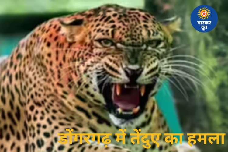 जंगल में नीम पत्ती लेने गया ग्रामीण बना तेंदुए के हमले का शिकार, हालत नाजुक