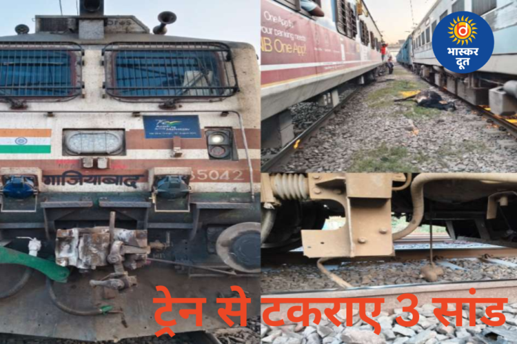 ग्वालियर में बड़ा रेल हादसा टला: बिरला नगर स्टेशन पर एक्सप्रेस ट्रेन से टकराए 3 सांड