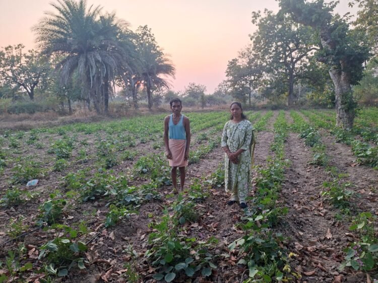 आधुनिक तकनीक से बढ़ा सब्जी का उत्पादन