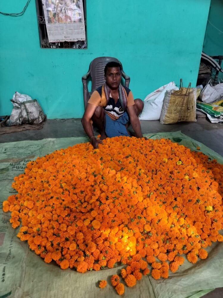 मेरीगोल्ड की खेती से बदली आर्थिक तस्वीर