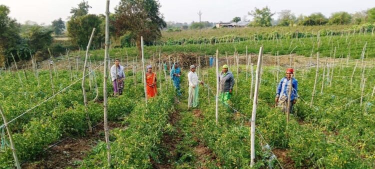 बिहान योजना से आत्मनिर्भर बनीं द्रौपती बांधे बनी लखपति दीदी