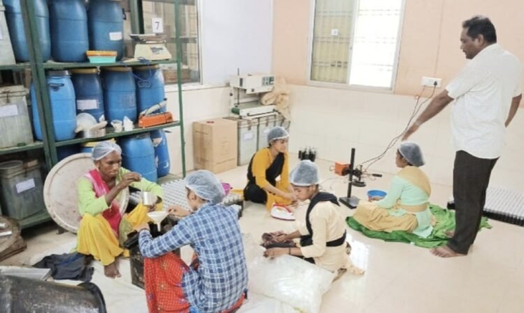 पीवीटीजी महिलाएं बनीं आत्मनिर्भरता की मिसाल