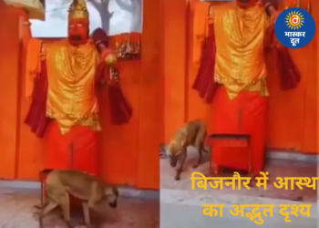 बिजनौर में आस्था का अनोखा नजारा, तीन दिनों से हनुमान मंदिर की परिक्रमा करता दिखा कुत्ता