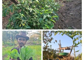 देशी तकनीक, आधुनिक सोच और जैविक खेती का अनूठा संगम |