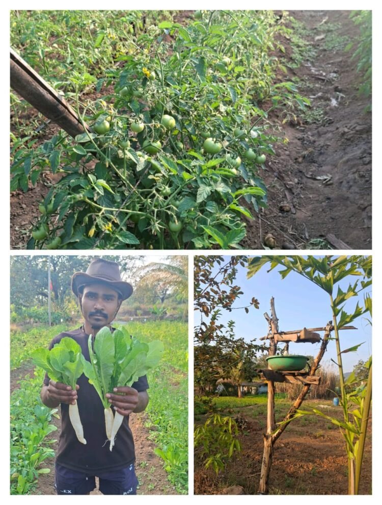 देशी तकनीक, आधुनिक सोच और जैविक खेती का अनूठा संगम |