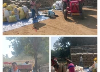 गोडरे धान खरीदी केंद्र में रिकॉर्ड खरीदी, किसानों में उत्साह |