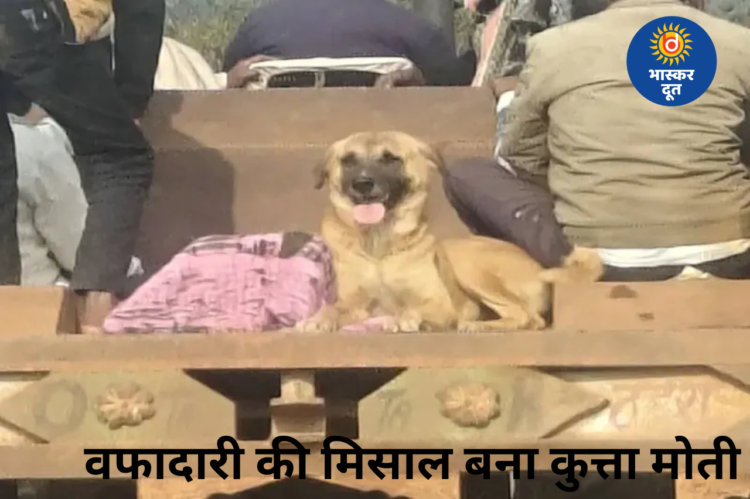 वफादारी की मिसाल: मालिक की मौत के बाद शव के पास डटा रहा कुत्ता मोती