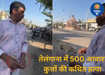 तेलंगाना में चुनावी वादे की आड़ में क्रूरता: 500 आवारा कुत्तों को कथित तौर पर जहर देकर मारा गया