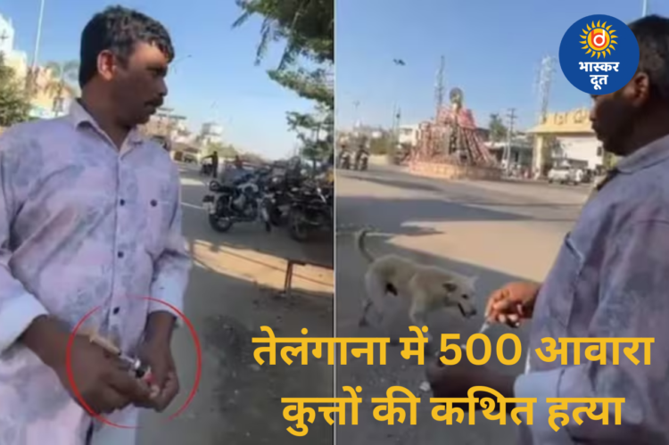 तेलंगाना में चुनावी वादे की आड़ में क्रूरता: 500 आवारा कुत्तों को कथित तौर पर जहर देकर मारा गया