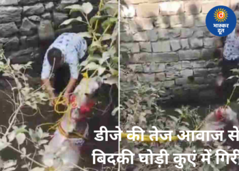 डीजे की तेज आवाज से घबराई घोड़ी कुएं में गिरी, दूल्हे ने कूदकर बचाई जान