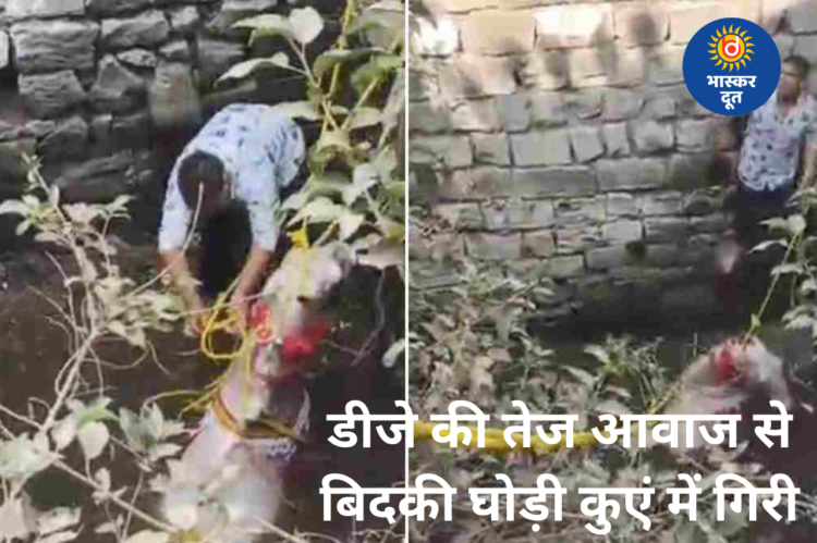 डीजे की तेज आवाज से घबराई घोड़ी कुएं में गिरी, दूल्हे ने कूदकर बचाई जान