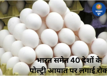 सऊदी अरब का बड़ा फैसला: भारत समेत 40 देशों से चिकन-अंडे के आयात पर रोक, बर्ड फ्लू बना वजह