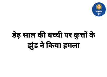 राजगढ़ में आवारा कुत्तों का कहर, डेढ़ साल की बच्ची पर कुत्तों के झुंड ने किया हमला
