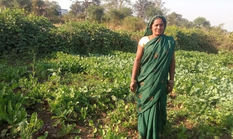 मुख्यमंत्री श्री विष्णु देव साय के सुशासन में महिलाओं को मिला आत्मनिर्भरता का संबल, बालोद की रोहनी बनीं उद्यमिता की मिसाल