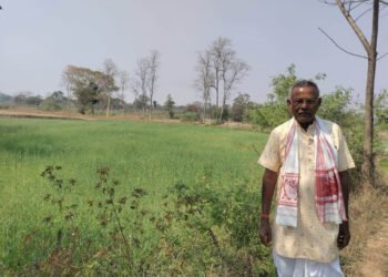 उन्नत तकनीकी विधि से गेहूं उत्पादन में वृद्धि