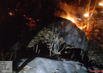 वन विभाग की तत्परता से टली बड़ी वन क्षति