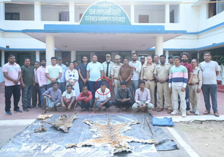 बाघ और तेंदुए के शिकार में शामिल डिप्टी रेंजर सहित 9 आरोपी गिरफ्तार