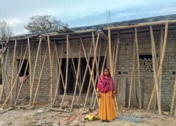 बिहान योजना से फुलकुंवर बनीं आत्मनिर्भर उद्यमी