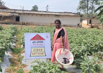 उन्नत खेती से शीला राजवाड़े बनीं लखपति दीदी