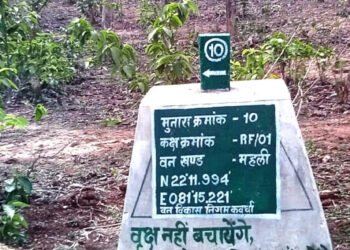 वनों की सुरक्षा को मिला नया कवच- 227 मुनारों का निर्माण पूर्ण