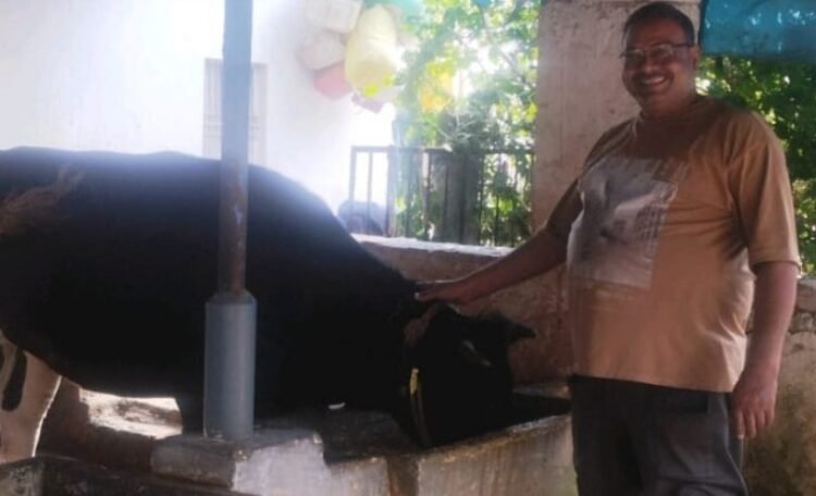 डेयरी व्यवसाय से आत्मनिर्भरता का सफर