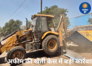 अफीम खेती केस में बड़ी कार्रवाई: BJP नेता विनायक ताम्रकार के भाई के अवैध कब्जों पर चला बुलडोजर, घर से 7 बोरी डोडा और खसखस बरामद