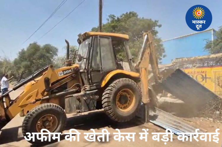 अफीम खेती केस में बड़ी कार्रवाई: BJP नेता विनायक ताम्रकार के भाई के अवैध कब्जों पर चला बुलडोजर, घर से 7 बोरी डोडा और खसखस बरामद