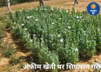 छत्तीसगढ़ में अफीम खेती पर सियासत तेज: पूर्व सीएम भूपेश बघेल बोले- “सुशासन के ‘अफ़ीम स्टार्टअप’ की नई ब्रांच लैलूंगा में”, अजय चंद्राकर ने कहा- “प्रशासनिक और राजनीतिक संरक्षण की हो जांच”
